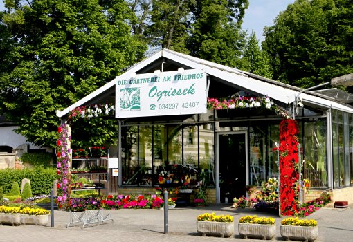 Bild Blumenladen Ogrissek in Leipzig Holzhausen