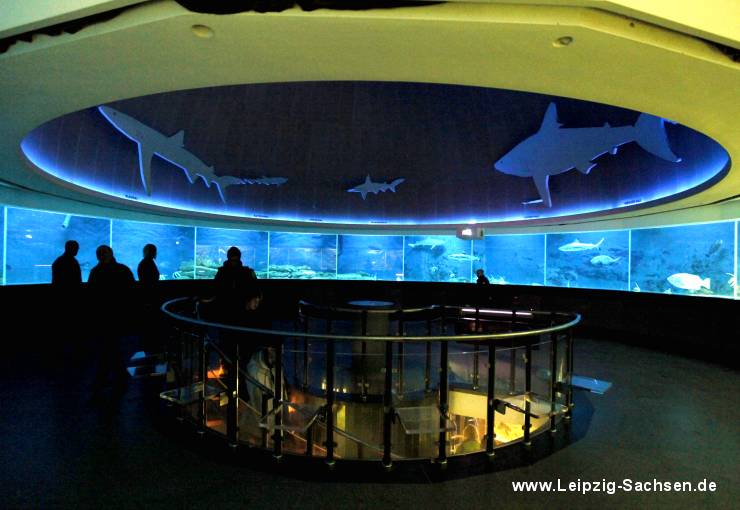 Zoo- Leipzig - Ring-Aquarium.