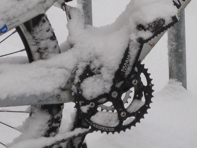 Pedelec E-Bike im Winter