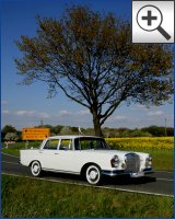 Oldtimer mieten (Machern Hochzeitsauto)