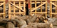 Foto: Holzbrennstoffe