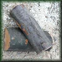 Kaminholz Buche