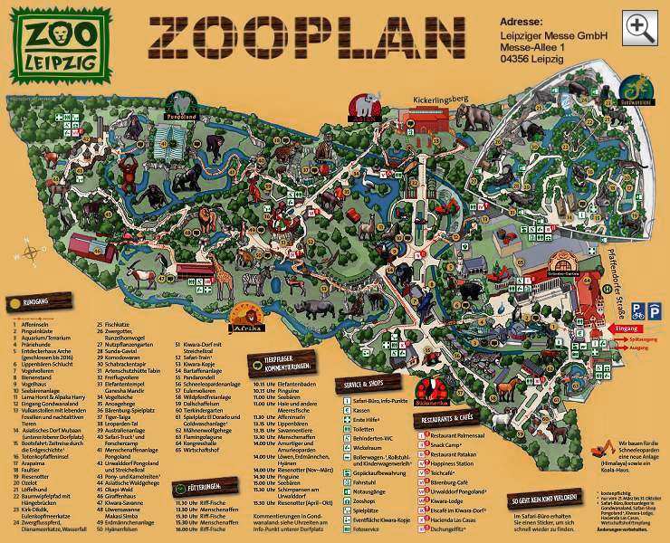 Zooplan Large