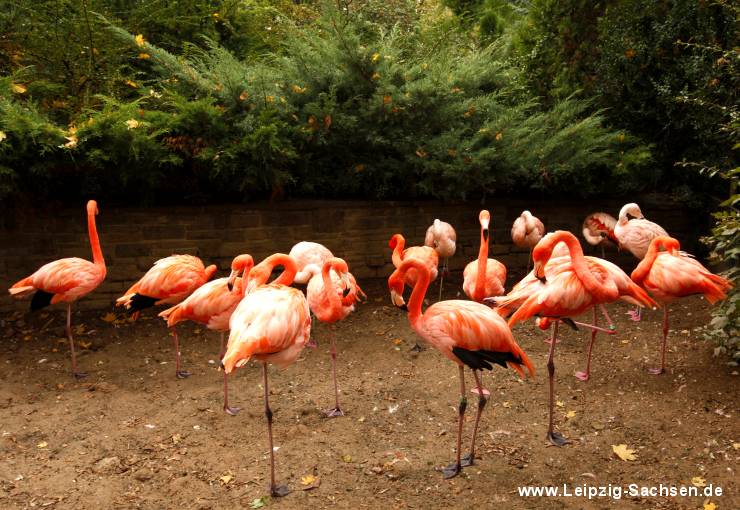 Leipzig Zoologischer Garten