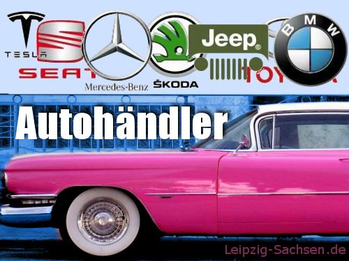 Ratgeber Auto kaufen