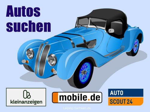Ratgeber Auto suchen