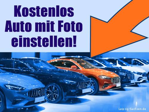 Ratgeber Auto clever verkaufen