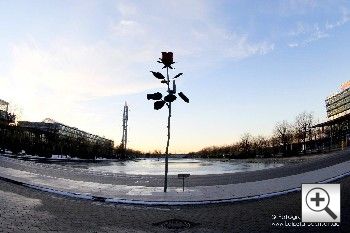 Rose vor der Glashalle Leipziger Messe