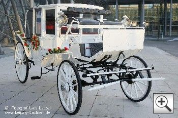 Hochzeitskutschen-Leipzig