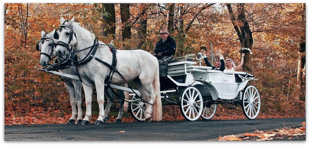 Heiraten in Naunhof