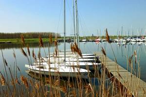 Foto: Cospudener See in Leipzig