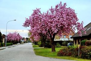 Foto: Beste Wohnregion Sachsen