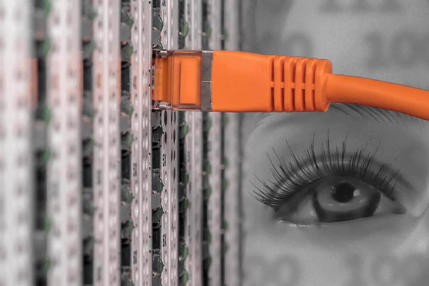 IT Sicherheit Datenrettung f�r Festplatten und andere Speichermedien