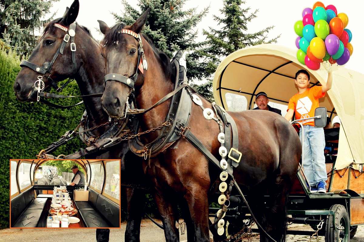 Kindergeburtstag auf der Pferdekutsche feiern