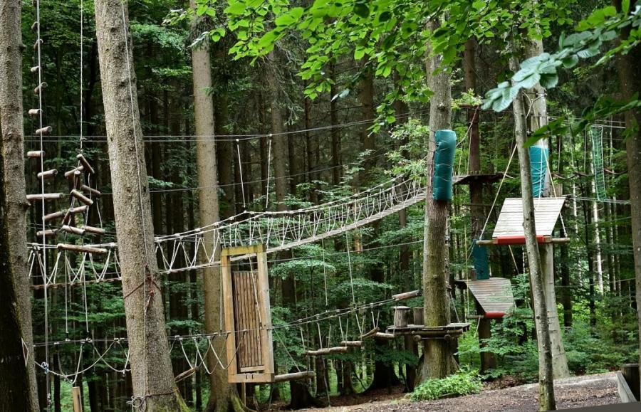 Kletterwald