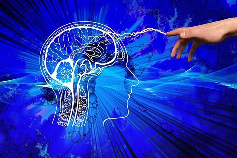 Leipzig Wissenschaft - Neurotransmitter im Gehirn als Belohnungssystem