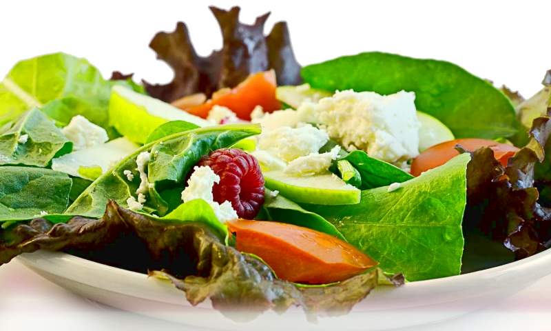 Foto: Grnes Blattgemse und Salat