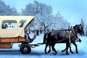 Foto: Freizeittipp - Pferdekutschfahrt durch den Winterwald in Leipzig