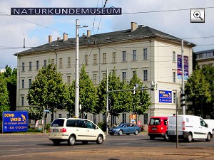 Foto: Naturkundemuseum in Leipzig