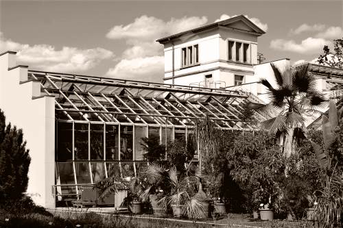 Botanischer Garten Leipzig